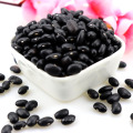 Market price with Reasonable Black kidney beans